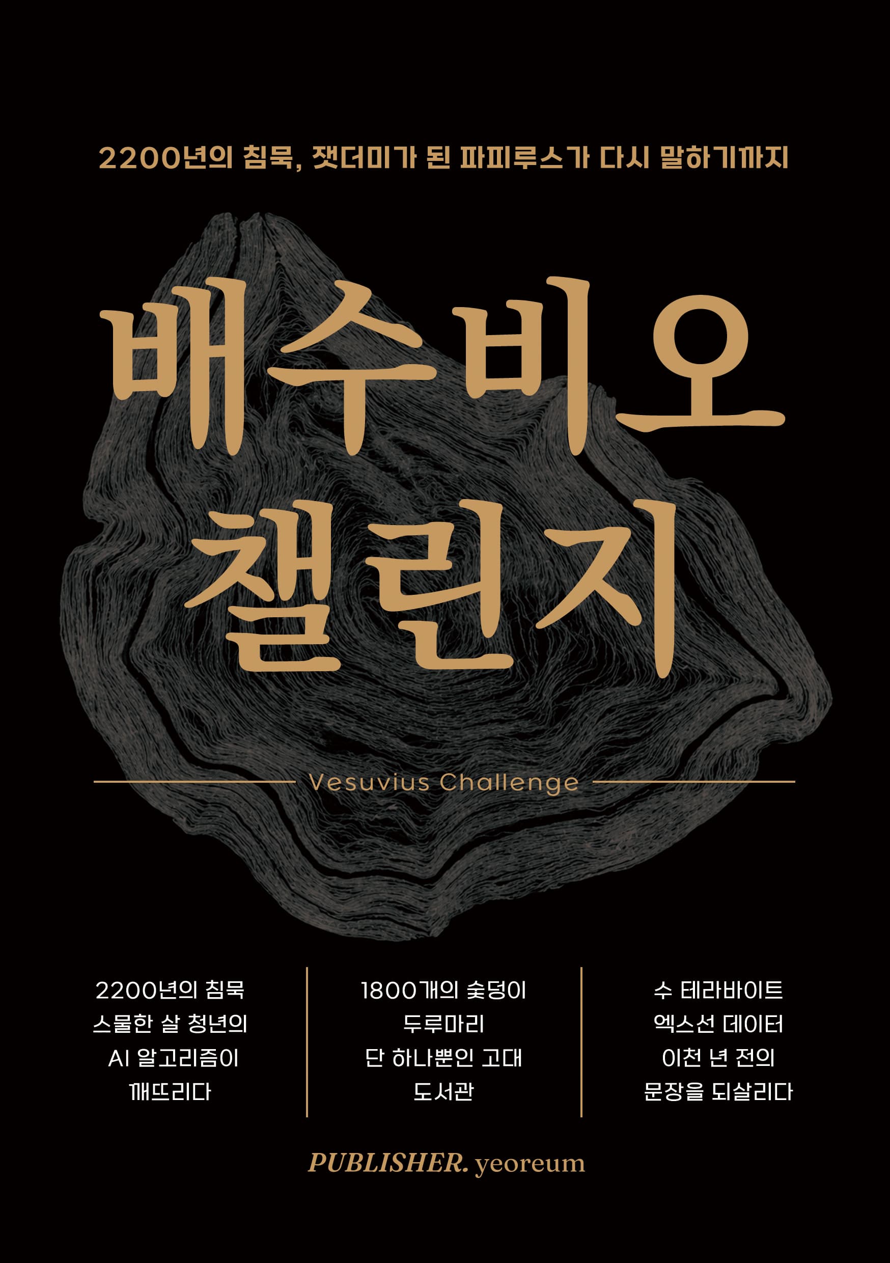 배수비오 챌린지 표지
